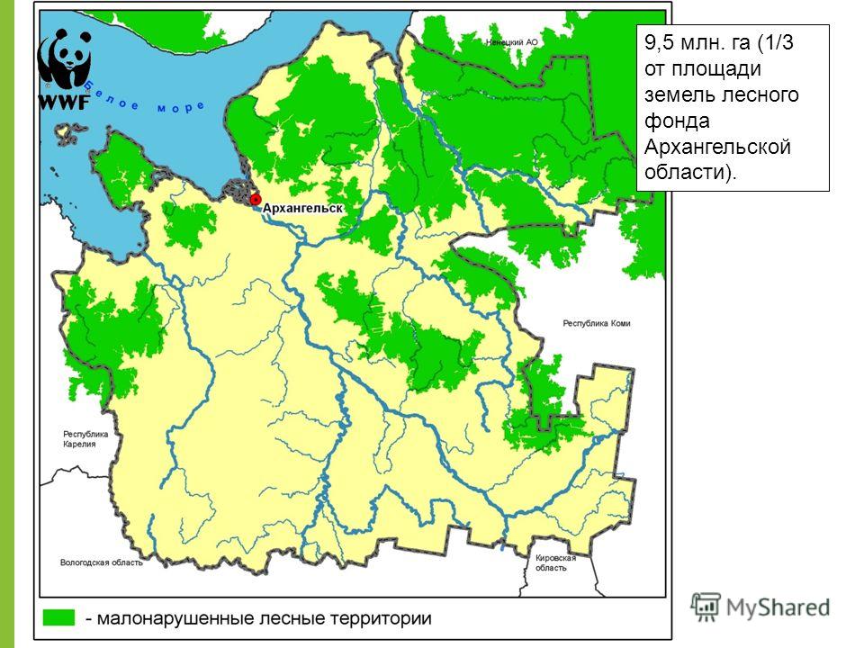 Карта лесного фонда