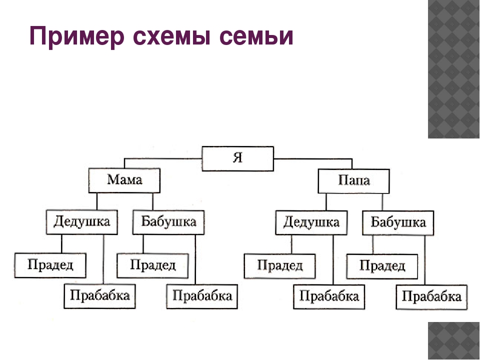 Как составлять древо семьи схема