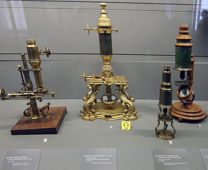 история открытия микроскопа