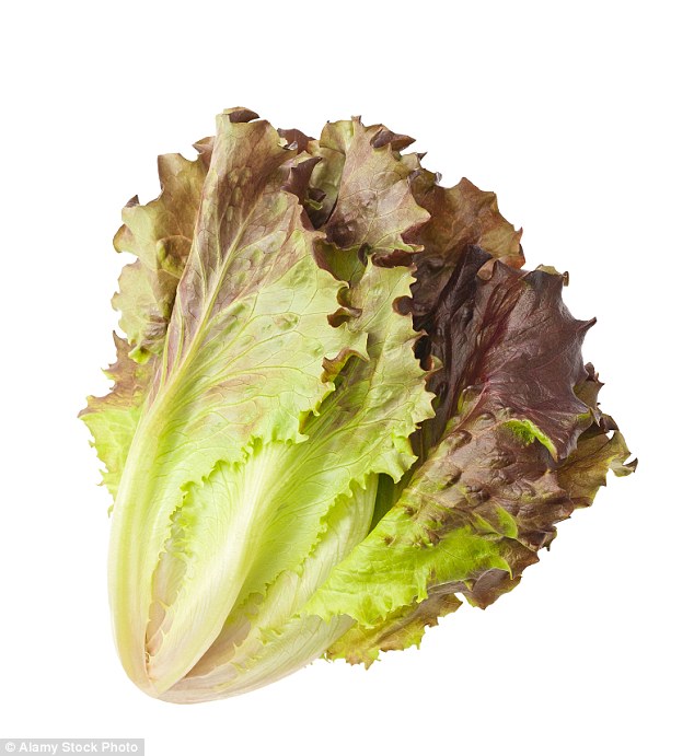 Lettuce is mostly made of water, so the cell structure is destroyed when it freezes