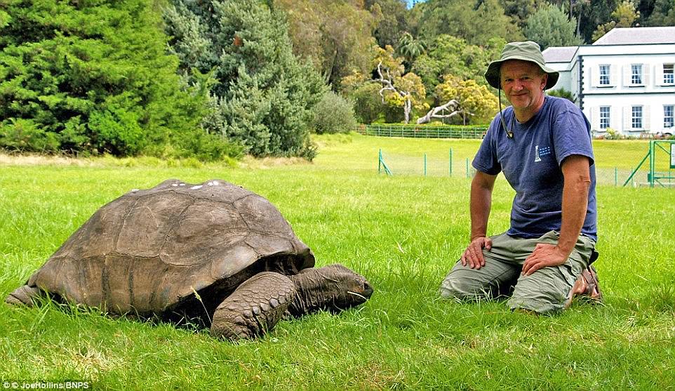 Jonathan has surpassed the average life expectancy of 150 years for the giant tortoise - and he