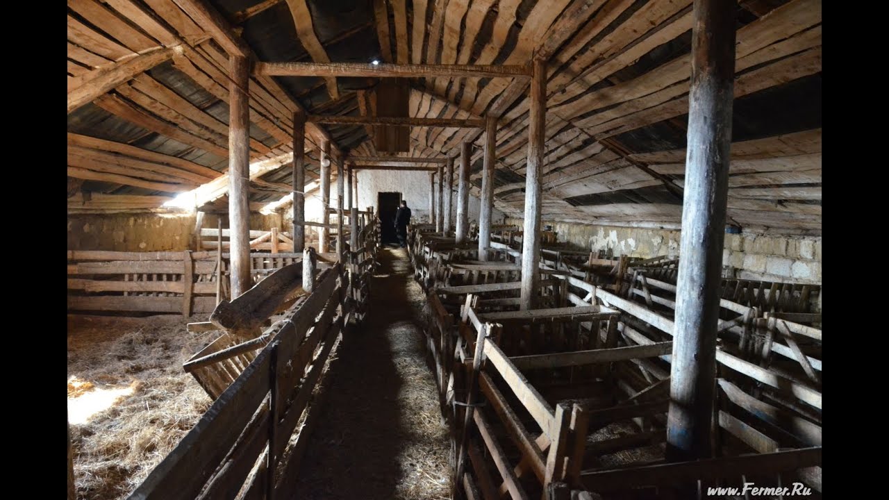 Проекты сарай для скота: Сарай для животных – принцип обустройства и .