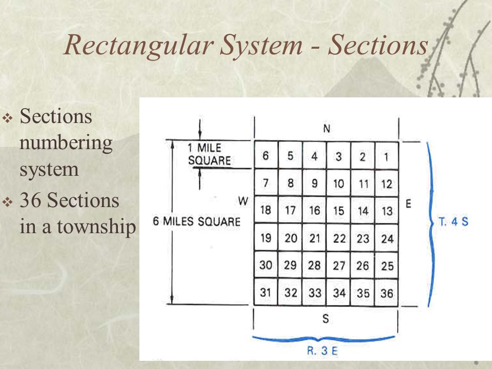  Sections numbering system  36 Sections in a township Rectangular System - Sections