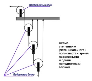 Виды полиспастов