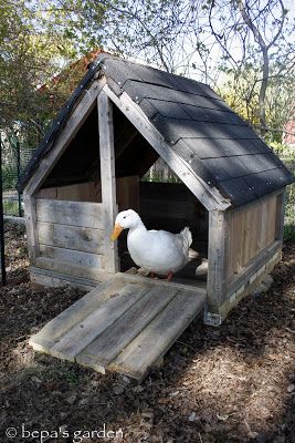 duck house plans