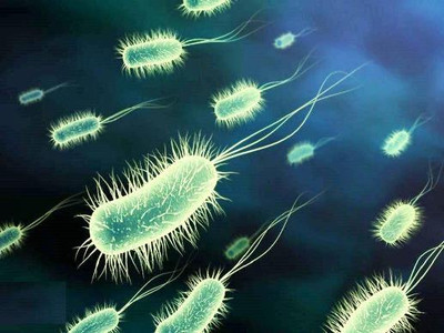Бактерии в воде