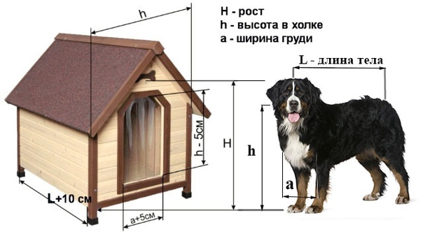 Размеры вольера для алабая размеры фото и чертежи