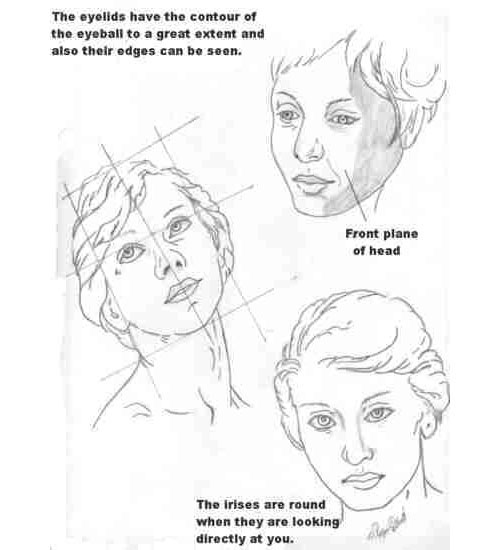 wetcanvas-anatomy-less2 The Best Drawing Tutorials to Learn How To Draw